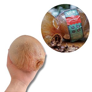 Play Bow Luv Mordedor 100% Natural Para Caes  Bexiga Bovina Recheada Com Pulmao 1 Unidade