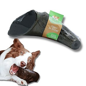 Chifre de Búfalo Mordedor 100% Natural Para Cães Pet Bem 1 Uni