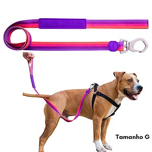 Guia Para Cães Tamanho G Purple Woley Mosquetão Resistente