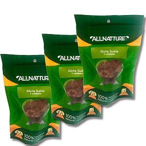 Kit 3 Glote Suína Mordedor 100% Natural Para Cães Allnatture