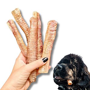 Traqueia de Carneiro Desidratada Mordedor 100% Natural Para Cães 5 Uni Bicho do Mato