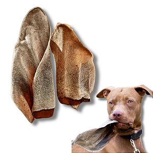 Orelha Bovina Mordedor 100% Natural Para Cães 2 Uni Bicho do Mato
