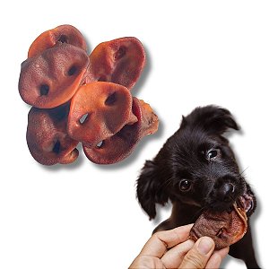Focinho Suíno Mordedor 100% Natural Para Cães 150g Bicho do Mato