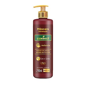 Connect Máscara Hidratação Melancia Cães e Gatos Dolce Pet 290ml