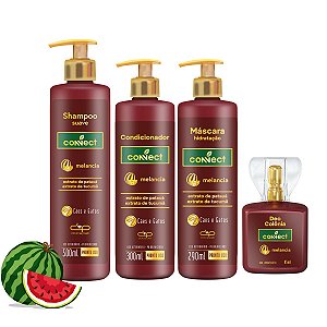 Kit Shampoo Suave Condicionador Máscara Perfume Connect Dolce Pet Cães Melancia