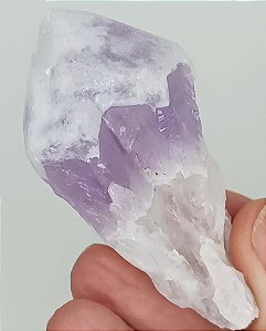 Raiz de Ametista Lavanda - Ice Cap