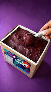 +PURO AÇAÍ ZERO AÇÚCAR 5L