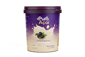 +PURO AÇAÍ COM NINHO 900 ML CX 4 UN