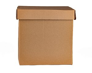 SORVETE DE NAPOLITANO 10 LITROS