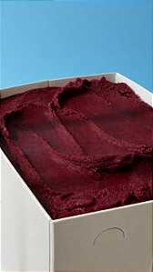 AÇAÍ PANEIRO ZERO 10L