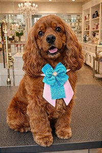 Gargantilha bella c/5