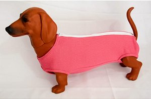 Roupa pós cirúrgica FÊMEA pet UN