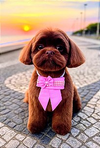 Gargantilha perola c/5