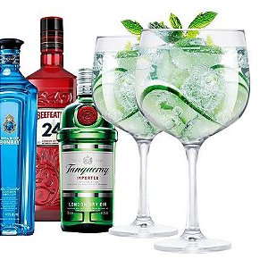 Jogo de Taças para Gin Gambo 705ml com 02 Peças Transparente RUVOLO