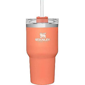 Copo Térmico STANLEY Adventure 591 ml