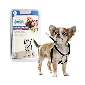 PET - Coleira PAWISE para Treino Peitoral