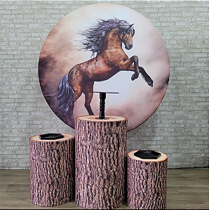 Alugue Tema Para Festa Decoração Cavalo Tecido ( Modelo 1 )