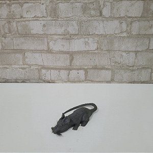 Alugue Rato de Borracha Halloween