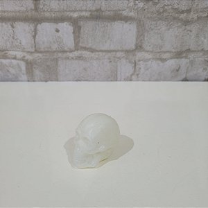 Alugue Cabeça de Caveira Branco Halloween