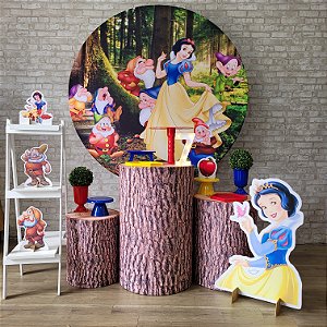Alugue Tema Para Festa Decoração Branca de Neve Tecido ( Modelo 2 )