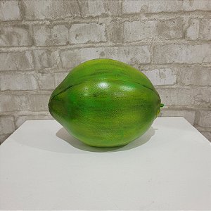 Alugue Item Decorativo Côco de Plastico