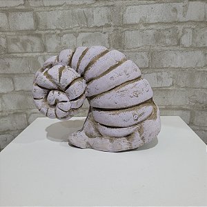 Alugue Item Decorativo Concha G