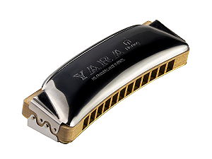 Gaita de Boca Diatônica Hering Yara 12 em Mi