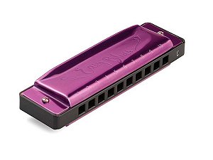 Gaita de Boca Diatônica Hering Easy Blues em Dó Purpura