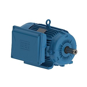 Motor Monofásico 7.5 CV 2 Polos 220/440V Carcaça W132S