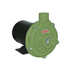 Bomba Centrífuga BC-92S 1A 1Cv 220/380v Trifásica IR3 Schneider