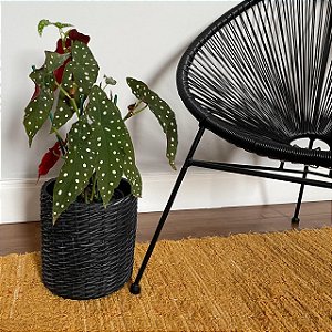 Cachepot Rattan em Cimento