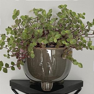 Cachepot Craquelê
