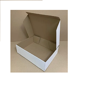 Chapa de Papelão 40cm x 82cm Nº 30
