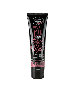 Shampoo Reconstrutor Bio Restore Ludax Professional 300ml