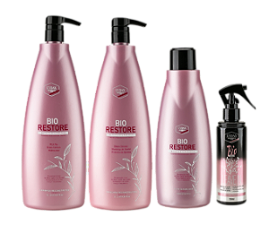 Kit Reconstrução Capilar Bio Restore Ludax Professional - Shampoo 1L + Bio Retexturizador 500ml + Máscara 1L + Leave-in 200ml