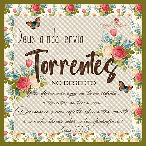 CAIXA FLORIDA -  TORRENTES NO DESERTO