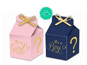 Caixa Decorativa Formato Milk - Boy or Girl - Chá Revelação