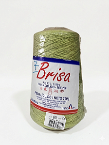 Linha Brisa (Acelga) cone 250g