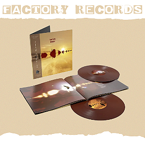 Kate Bush - Aerial (Goldy Locks) - LP