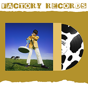 Declan McKenna - What Happened To The Beach? (Deluxe - Picture Disc) - LP