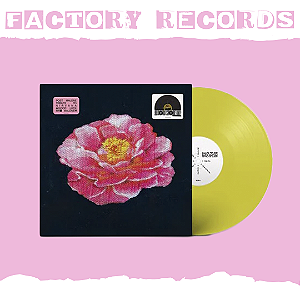 Post Malone - Post Malone Tribute to Nirvana (RSD 2025) - LP