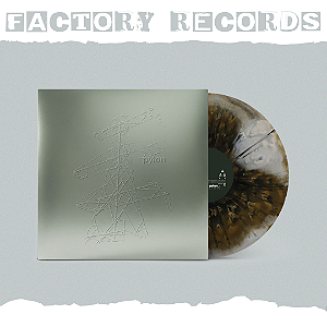 Beabadoobee - Pylon (Exclusive Foil Sleeve 'Bird Shit') - LP
