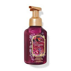 Winterberry Ice Gentle & Clean Foaming Hand Soap 259ml - Bath and Body Works