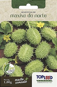 Sementes de Maxixe do Norte Topseed