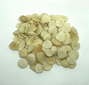 XING REN (ARMENIACAE SEMEN) A GRANEL