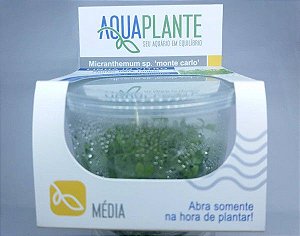 PLANTA AQUAPLANTE MICRANTHEMUM TWEEDIEI "MONTE CARLO"