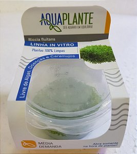 PLANTA AQUAPLANTE RICCIA FLUITANS