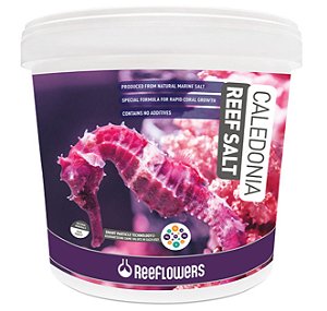 CALEDONIA REEF SALT 6,5KG BALDE - REEFLOWERS