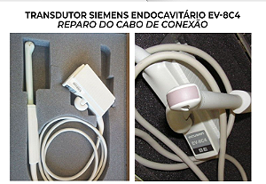 Sonda Transdutor Siemens Endocavitario Ev 8c4