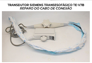 Sonda Transdutor Siemens Transesofagico Te V7b